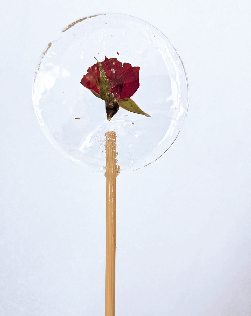runder lolli glasklar mit essbarer rosenblüte
