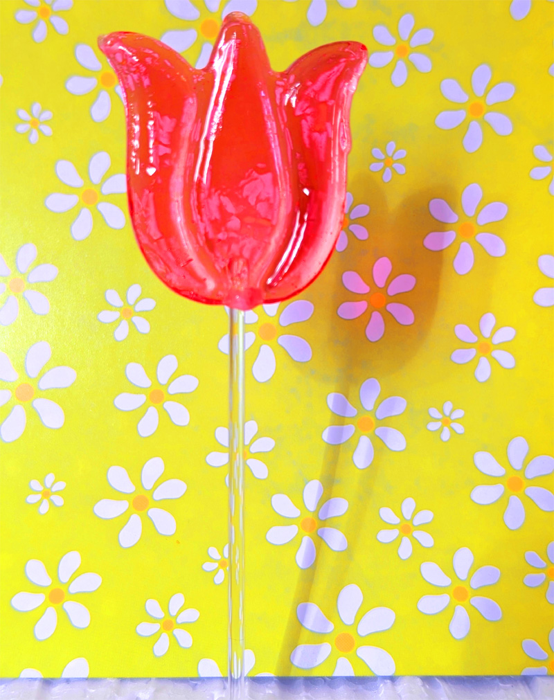 lolli in tulpenform rot