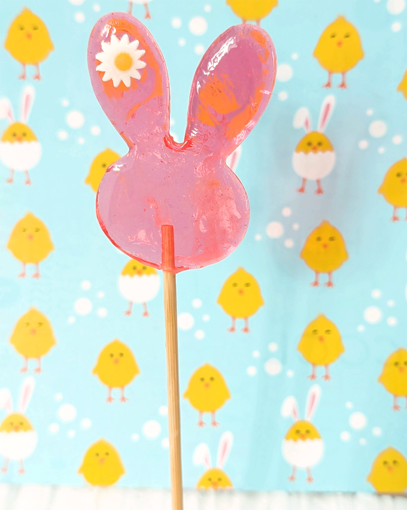 hasenlolli pink mit blüte